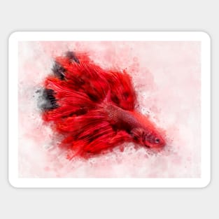 Red Betta Fish watercolor Sticker